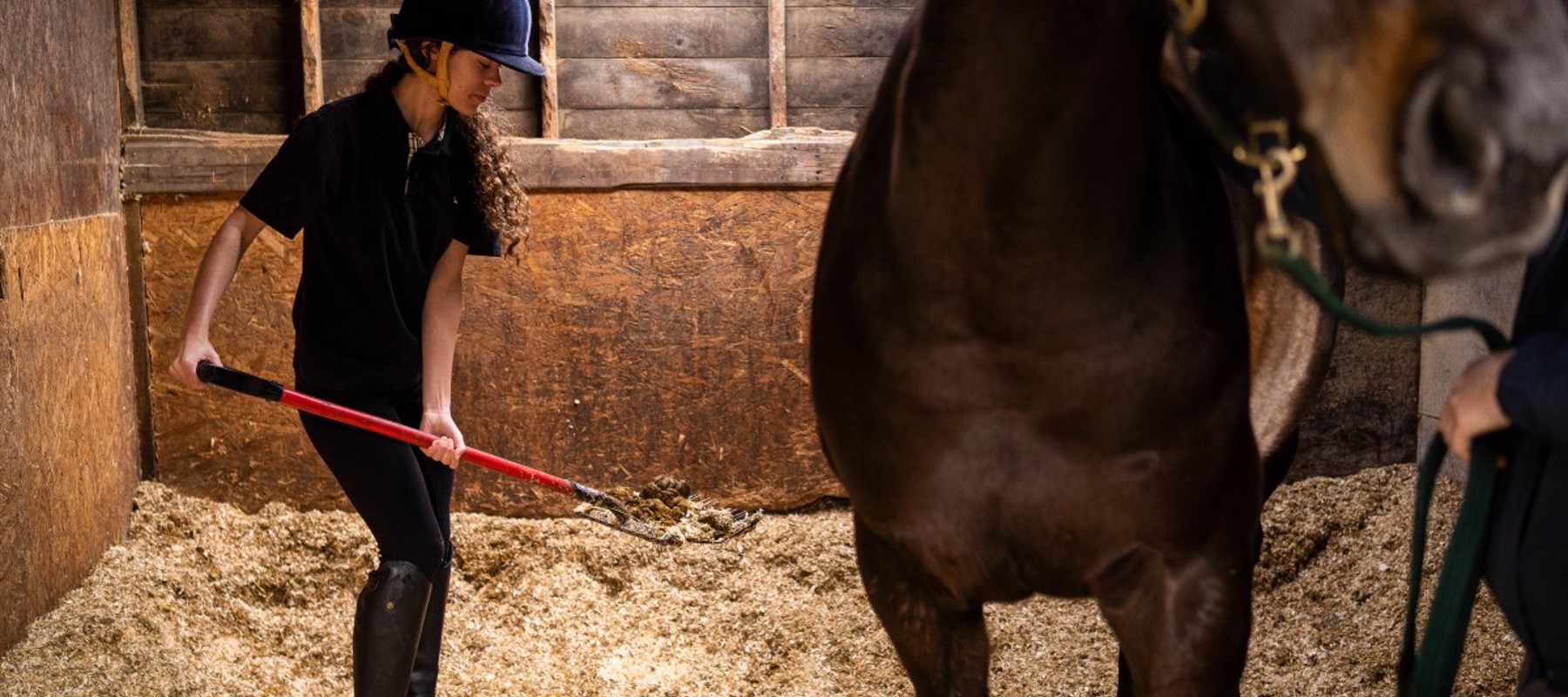 woman collecting waste horse stables
