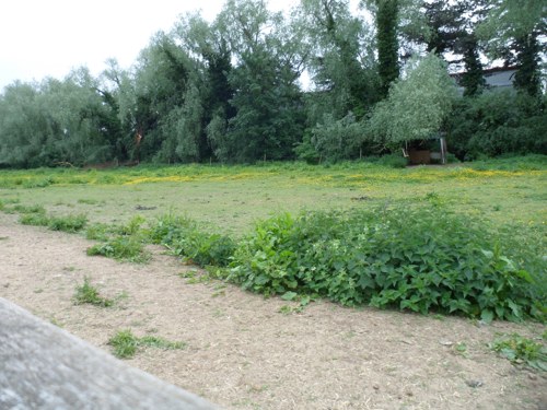 Horse sick pasture management