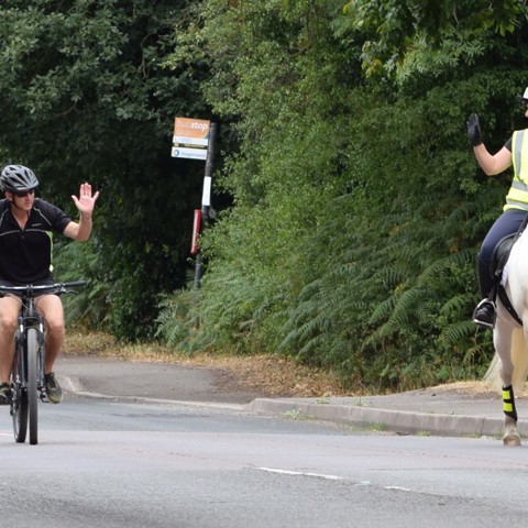 Say Hi Cyclist And Horse